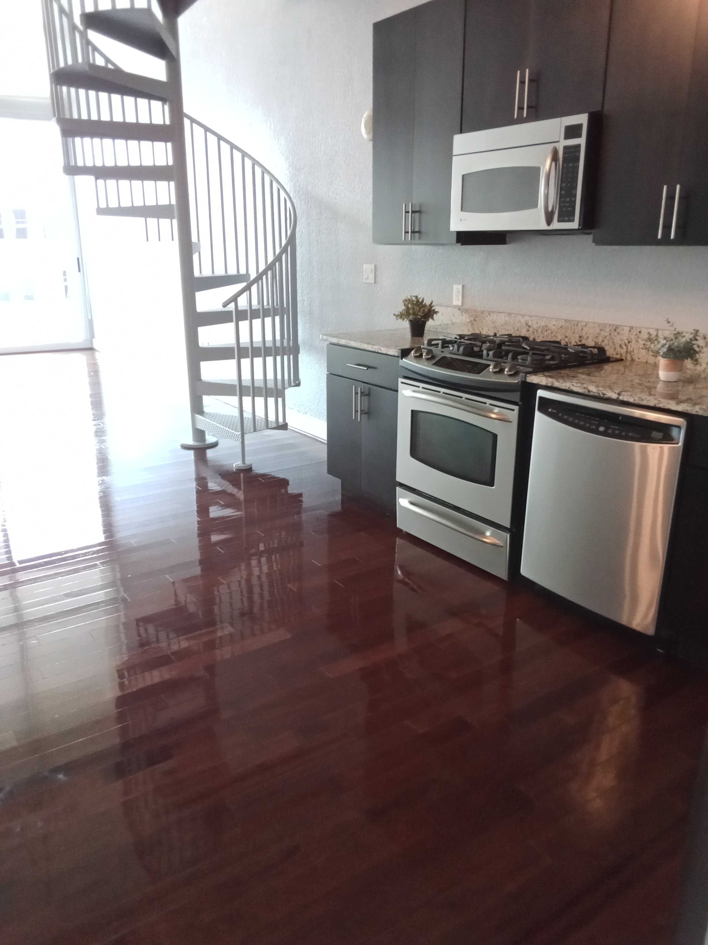 apartment cleaning, downtown Orlando cleaning service, apartment cleaning, cleaner near me, residential cleaning near me, house cleaner near me, home cleaners