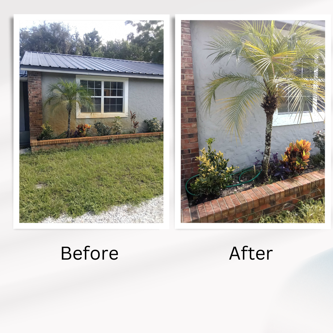 Rust Stain Removal, Exterior rust stain removal, Iron stain removal, hard water stain removal Deltona, FL